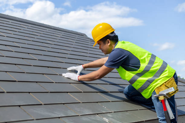 Best Roofing Contractor Near Me  in Springfield, GA