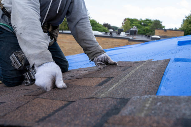 Best Roof Maintenance Services  in Springfield, GA