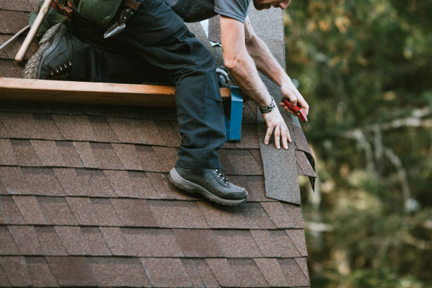 Best Shingle Roofing Installation  in Springfield, GA